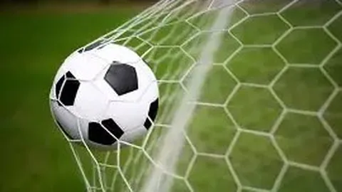 神采奕奕！严屹宽展示奶奶荣获党庆50周年勋章合影