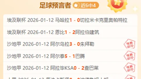 阿隆索谈比勒费尔德：惊喜之外，足球之常