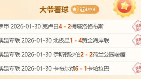 昨新西联再胜+昨4战3胜 情报解公牛vs公羊